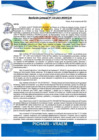 Vista preliminar de documento rgm530