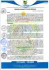 Vista preliminar de documento rgm534
