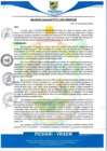 Vista preliminar de documento rgm535