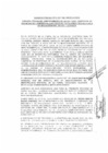 Vista preliminar de documento Subasta pública Nº1 - desierto