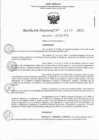 Vista preliminar de documento RD 0636-2023