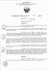Vista preliminar de documento RD 0653-2023