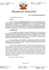 Vista preliminar de documento RD Nº 302-2023
