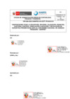 Vista preliminar de documento DIR-0009-2023-SANIPESOA/UCFT-PS-06.03-0