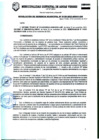 Vista preliminar de documento RESOLUCION DE GERENCIA MUNICIPAL Nº0109-2023-MDAV-GM