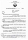 Vista preliminar de documento RD 0658-2023
