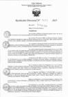 Vista preliminar de documento RD 0663-2023
