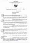 Vista preliminar de documento RD 0667-2023