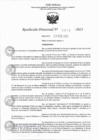 Vista preliminar de documento RD 0670-2023
