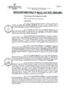 Vista preliminar de documento RD191-2023