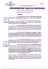 Vista preliminar de documento RD195-2023