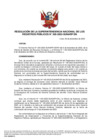 Vista preliminar de documento Resolución de la Superintendencia Nacional de los Registros Públicos N.°205-2023-SUNARP/SN