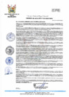 Vista preliminar de documento DA 013-2023-MPHH