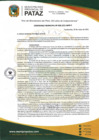 Vista preliminar de documento ORDENANZA MUNICIPAL N2 008-2021-MPP-T 