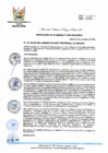 Vista preliminar de documento RA 480-2023-MPHH