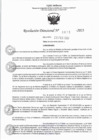Vista preliminar de documento RD 0675-2023