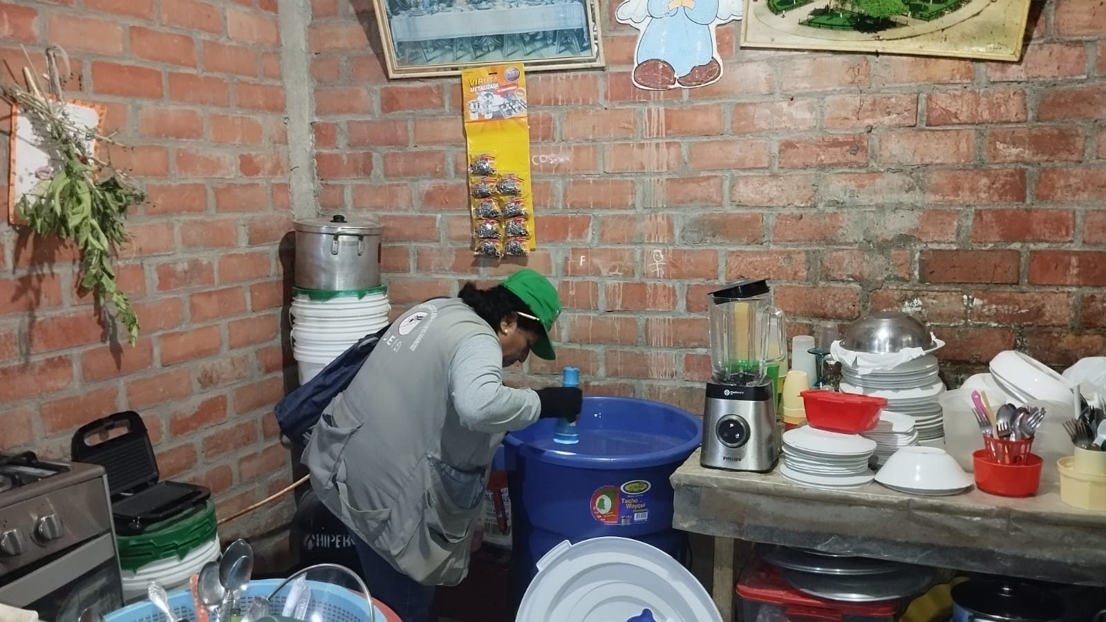 dengue
