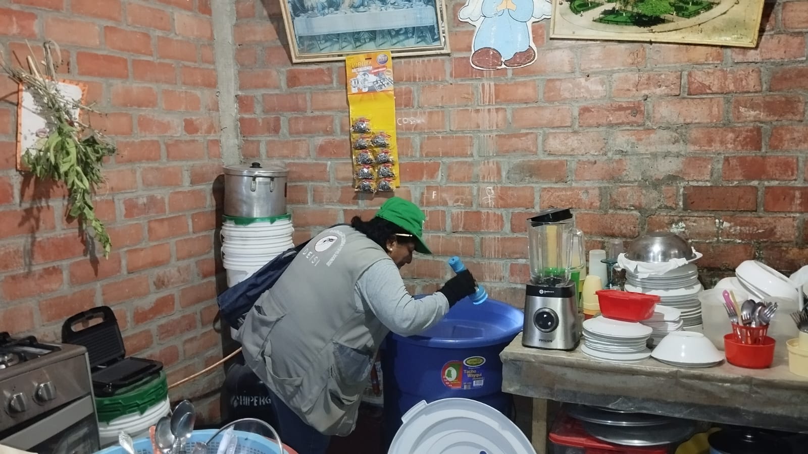 dengue