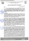 Vista preliminar de documento rgm 493