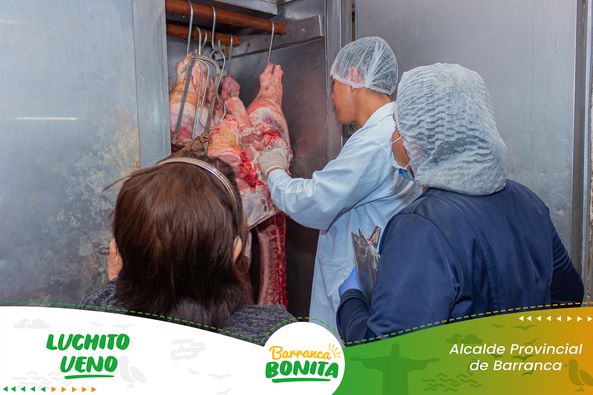 OPERATIVO