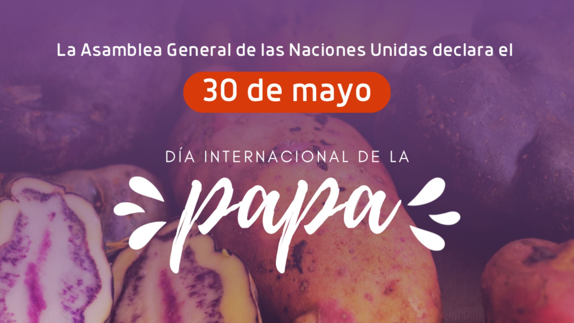 Asamblea General de las Naciones Unidas adoptó proyecto del Perú y declaró el 30 de mayo como el Día Internacional de la Papa