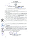 Vista preliminar de documento Resolución Directoral. N° 2817 - 2023 