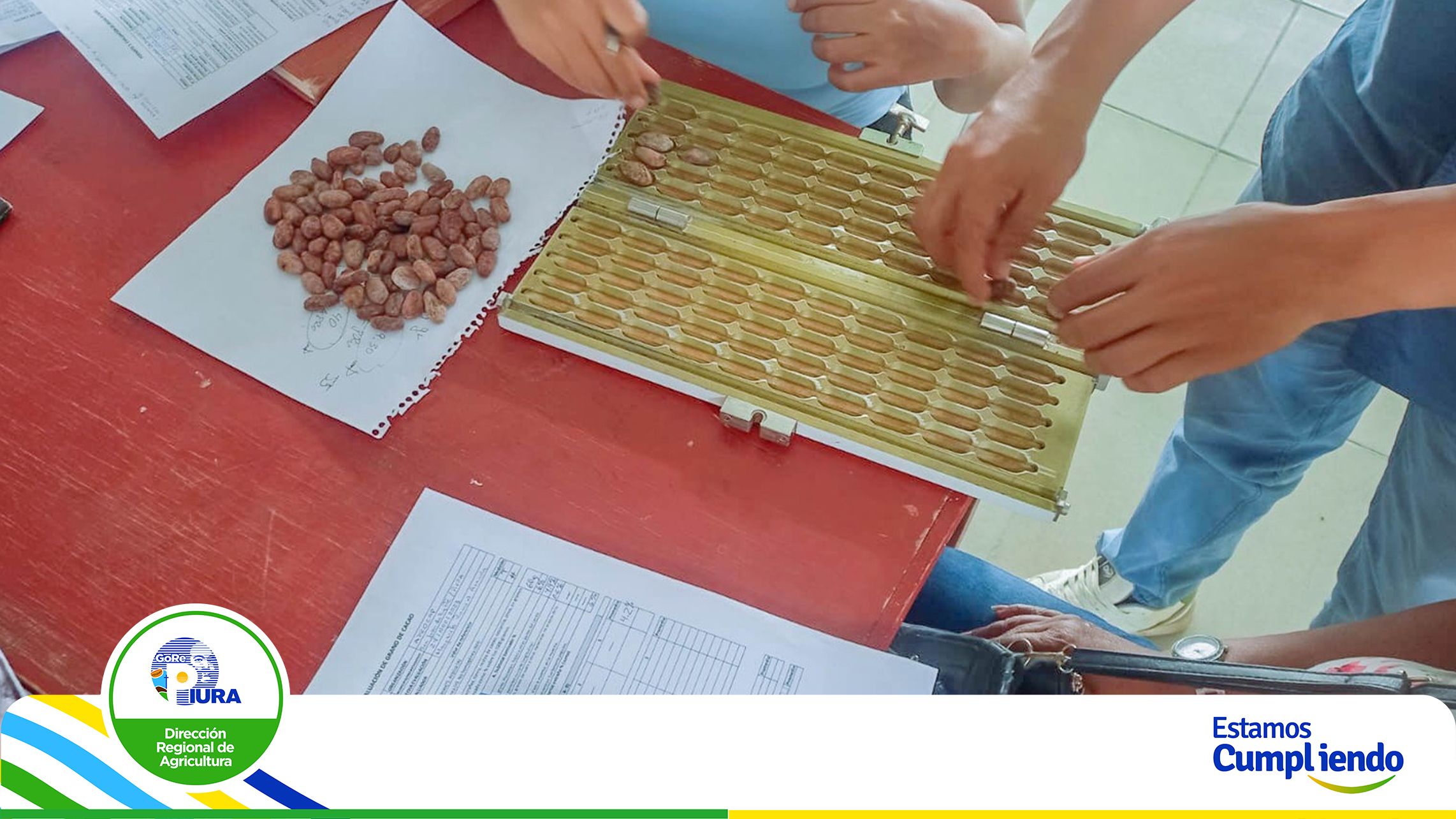 Dirección Regional de Agricultura Piura