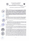Vista preliminar de documento Resolución de Gerencia Nº0233-2023 -RG