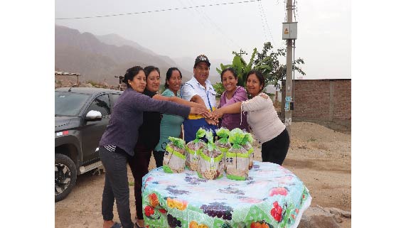 Olla Comun 3_Mesa de trabajo 1