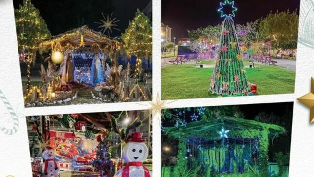 Ven y vive la navidad en la Alameda de los Incas del Complejo Qhapaq Ñan.
✅La Municipalidad Provincial de Cajamarca habilitó este espacio por iniciativa de sus trabajadores, quienes elaboraron motivos navideños sin presupuesto municipal .