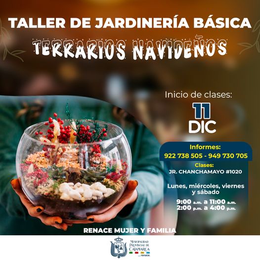 Súmate a nuestro taller gratuito de “Jardinería Básica - Terrarios Navideños” solo tienes que llamar a los números 922 738 505 o 949 730 705 para recibir informes e inscripciones.