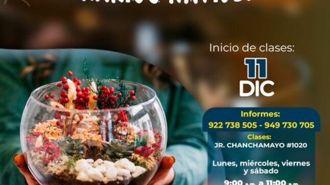 Súmate a nuestro taller gratuito de “Jardinería Básica - Terrarios Navideños” solo tienes que llamar a los números 922 738 505 o 949 730 705 para recibir informes e inscripciones. 