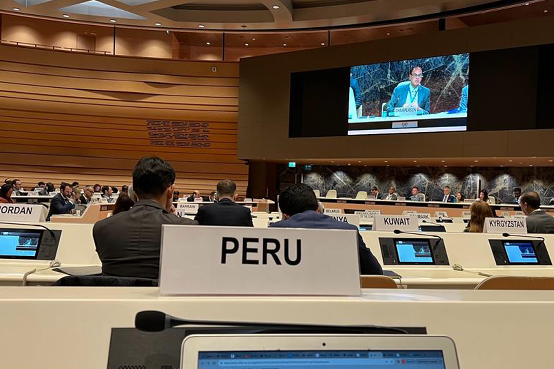 El Perú participó en la 3ª reunión del Grupo de Trabajo para el fortalecimiento de la Convención sobre Armas Biológicas-2