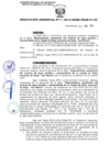 Vista preliminar de documento 001_2013_GRSM_PEAM_01_00