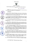 Vista preliminar de documento RES-133-2023-GRDE