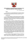Vista preliminar de documento Resolución de la Superintendencia Nacional de los Registros Públicos N.° 206-2023-SUNARP/SN