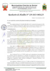 Vista preliminar de documento resolución 229