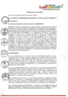 Vista preliminar de documento Ordenanza N°454-2023-MDSJL