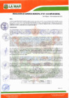 Vista preliminar de documento RGM-357-2023-MPLM