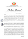 Vista preliminar de documento RD 256-2023