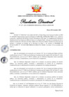 Vista preliminar de documento RD 257-2023
