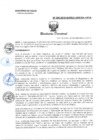 Vista preliminar de documento Resolución Directoral N° 308-2019-GOREU-DIRESA-HAYA