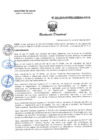 Vista preliminar de documento Resolución Directoral N° 303-2019-GOREU-DIRESA-HAYA