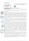 Vista preliminar de documento Resolución Directoral N° 046-2021-GOREU-DIRESA-HAYA