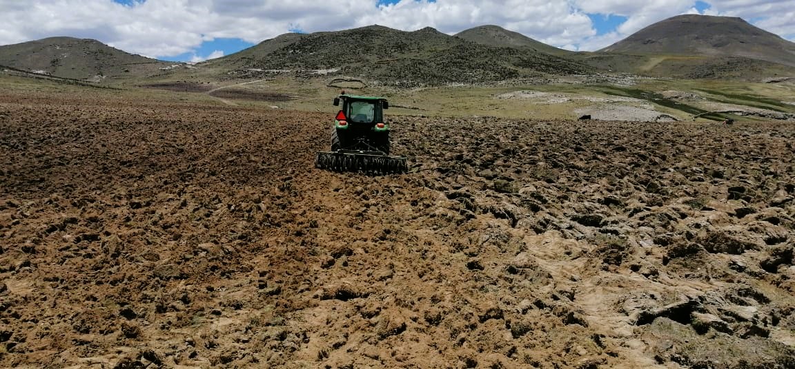 Proyecto bovino prepara más de 400 hectáreas de terreno para la siembre de pastos 