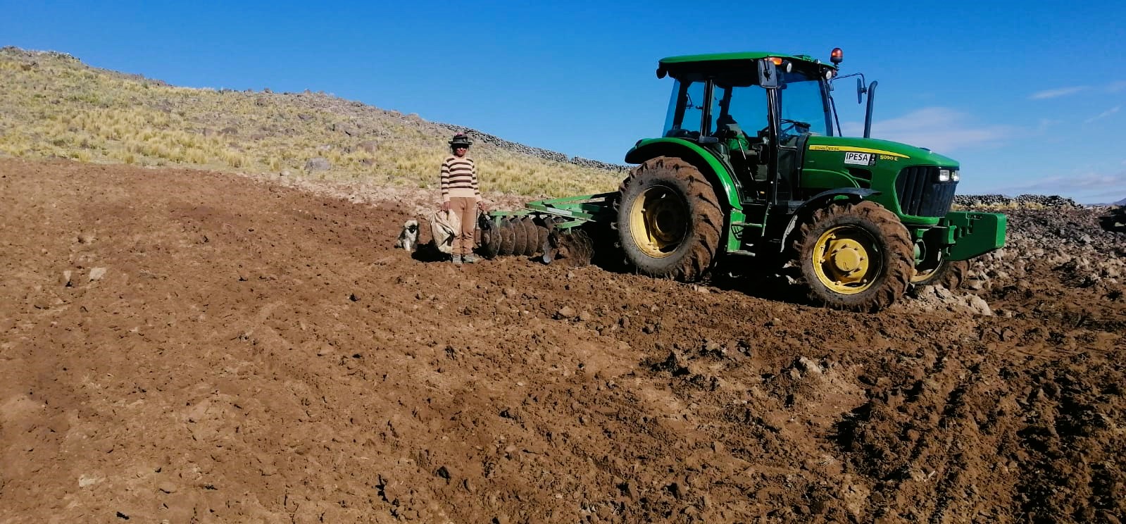 Proyecto bovino prepara más de 400 hectáreas de terreno para la siembre de pastos