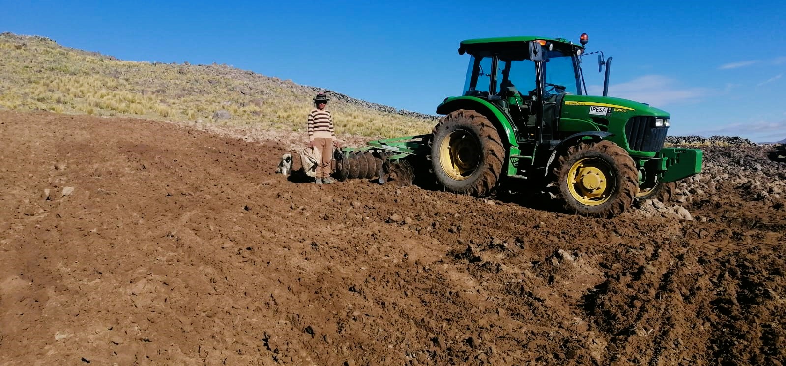 Proyecto bovino prepara más de 400 hectáreas de terreno para la siembre de pastos 