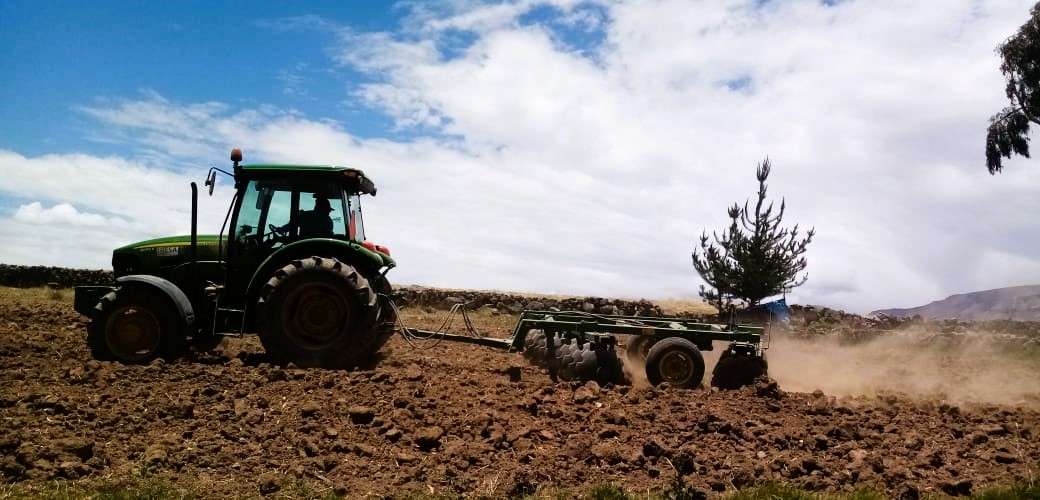 Proyecto bovino prepara más de 400 hectáreas de terreno para la siembre de pastos 