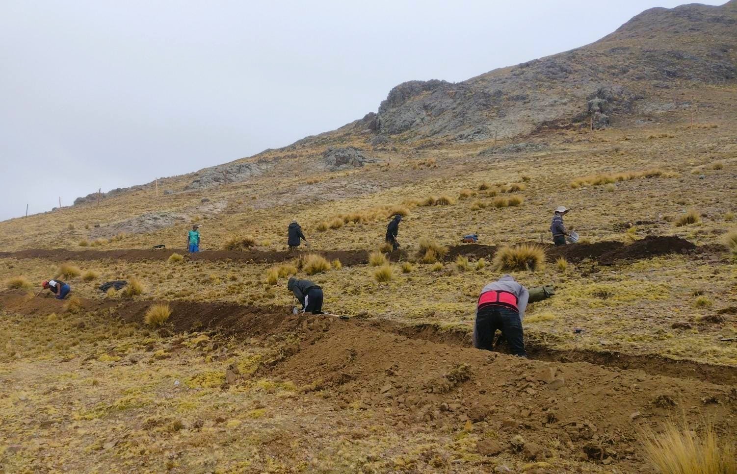 Proyecto Vicuña construye zanjas de infiltración 