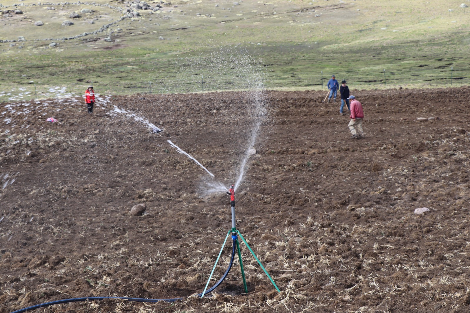 Proyecto Alpaca fortalece capacidades de productores locales en la región de Ayacucho